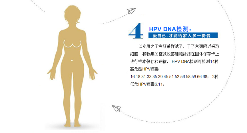 4HpvDAN检测