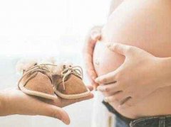 香港Y基因性别鉴定怀孕几个月做