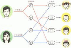 香港水晶医疗解说：香港验血验的是什么？