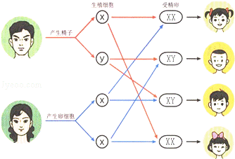  水晶医疗解说：香港验血验的是什么？